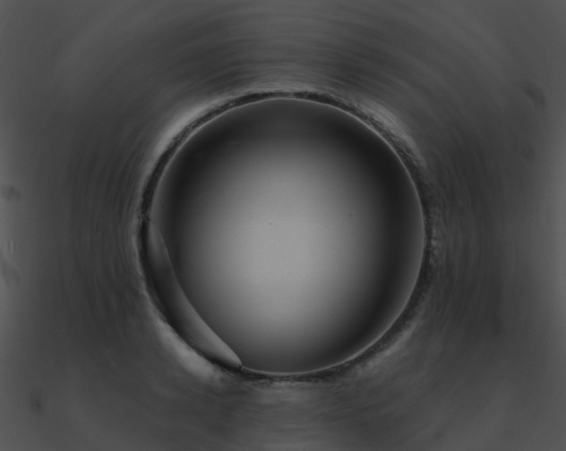X0000090990942200708021519