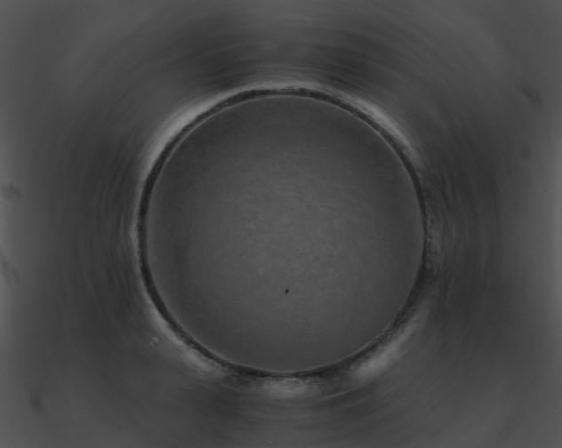 X0000090990943200708021519