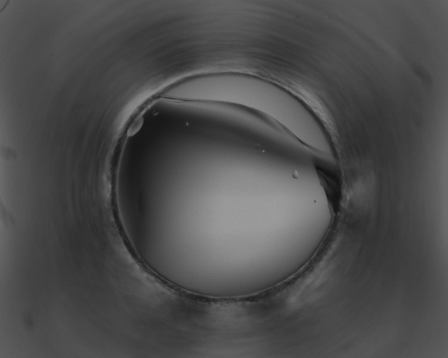 X0000090990944200708021519