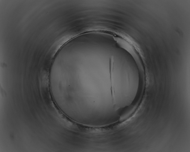 X0000090990945200708021519