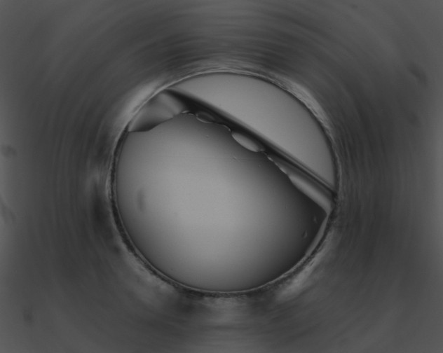 X0000090990946200708021519
