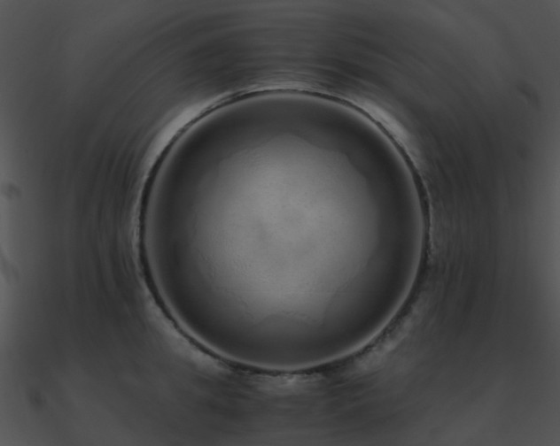 X0000090990949200708021519