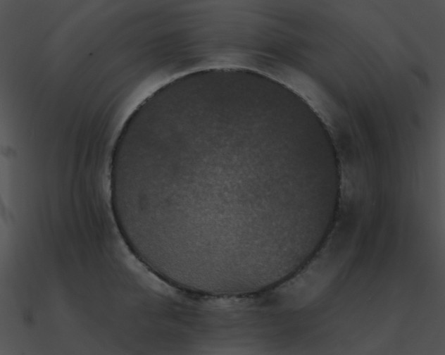 X0000090990950200708021519