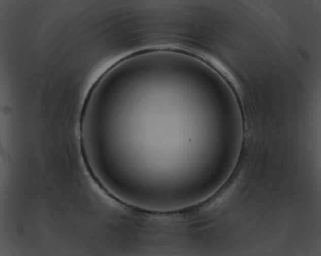 X0000090990951200708021519