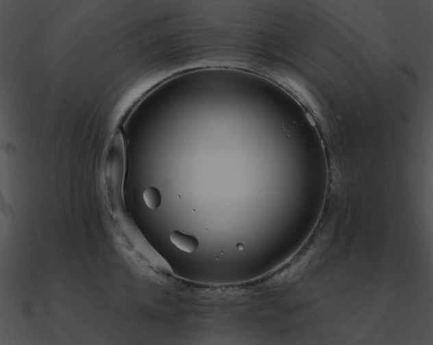X0000090990952200708021519