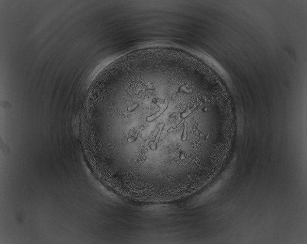 X0000090990953200708021519