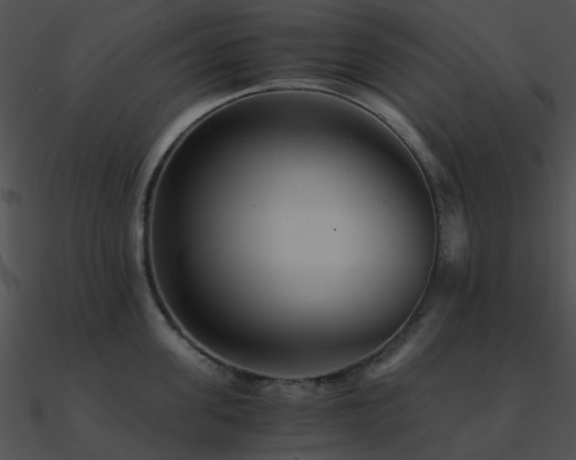 X0000090990955200708021519
