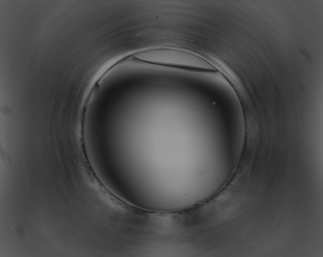 X0000090990956200708021519