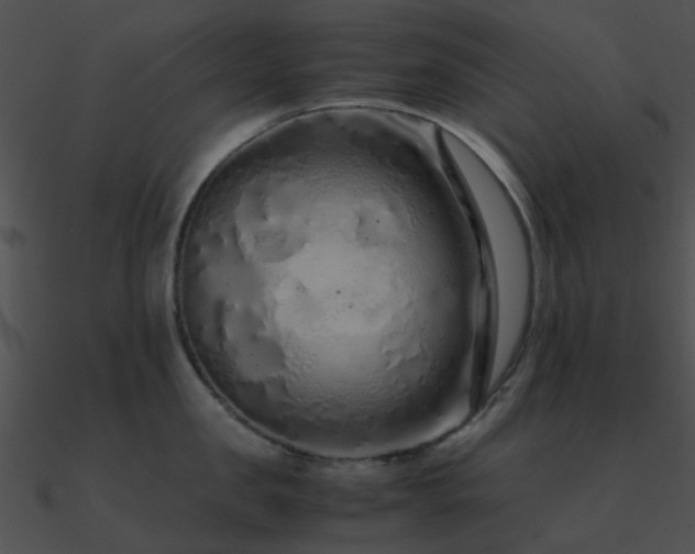 X0000090990957200708021519