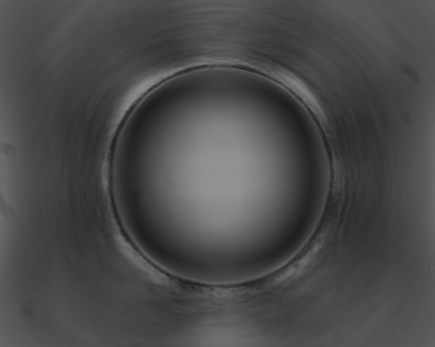 X0000090990958200708021519