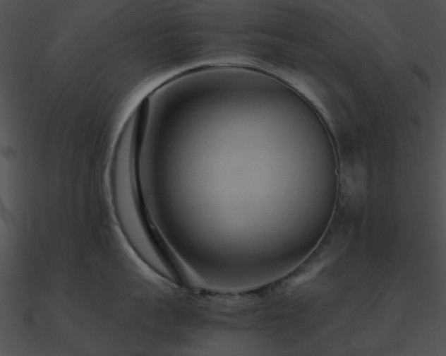 X0000090990959200708021519