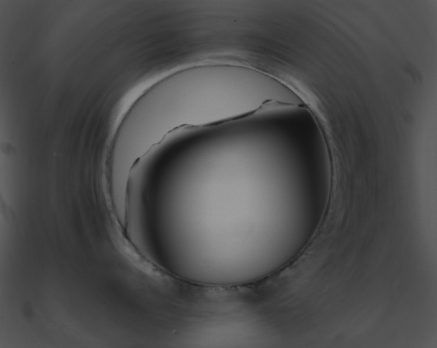 X0000090990960200708021519