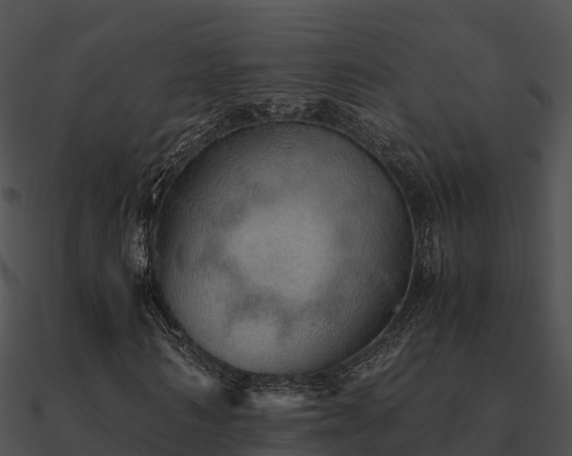 X0000090990962200708021518
