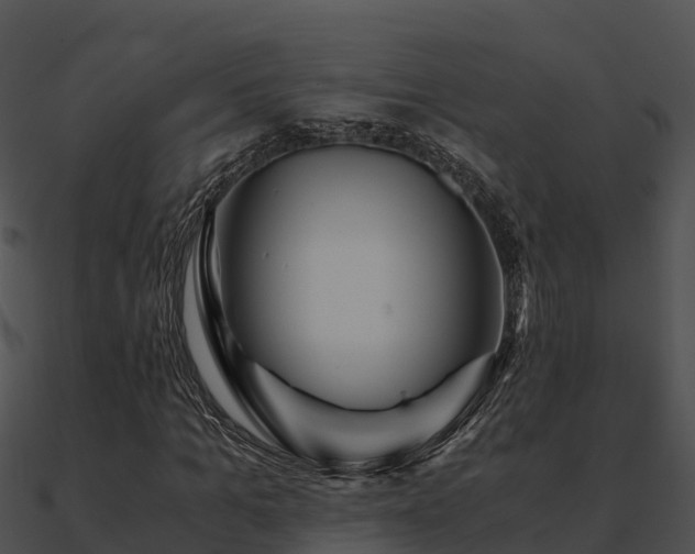 X0000090990965200708021518