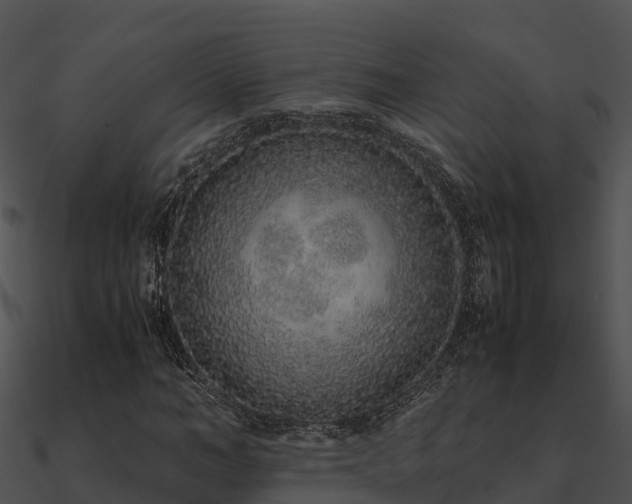 X0000090990966200708021518