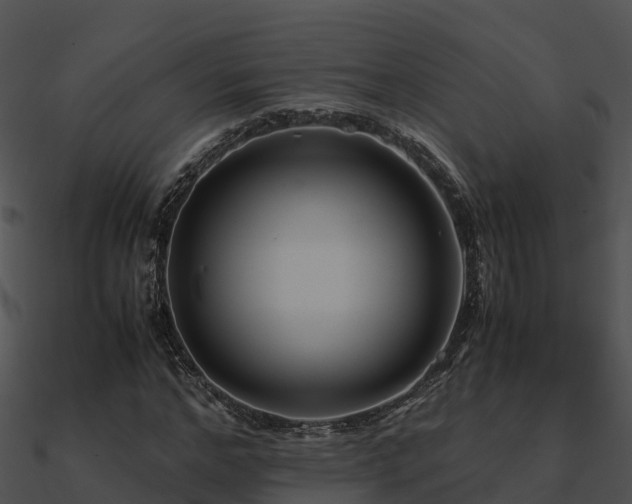 X0000090990968200708021518