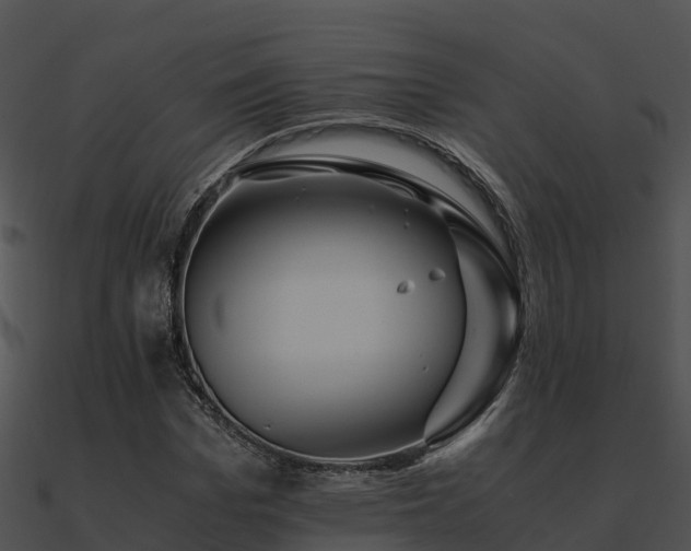 X0000090990969200708021518