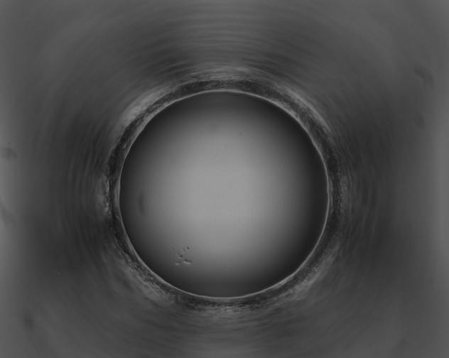 X0000090990970200708021518