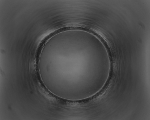 X0000090990971200708021518