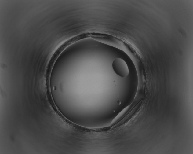 X0000090990976200708021518