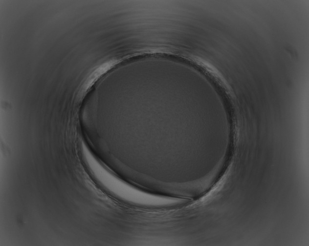 X0000090990977200708021518