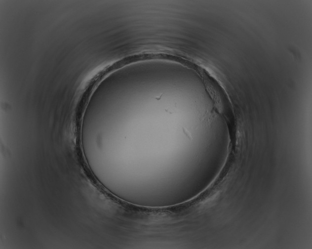 X0000090990979200708021518