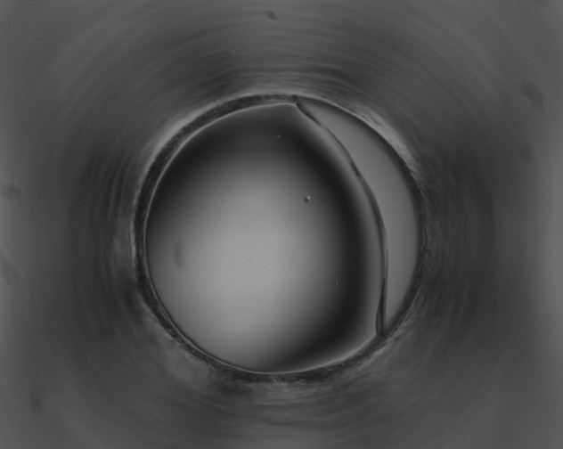 X0000090990980200708021518