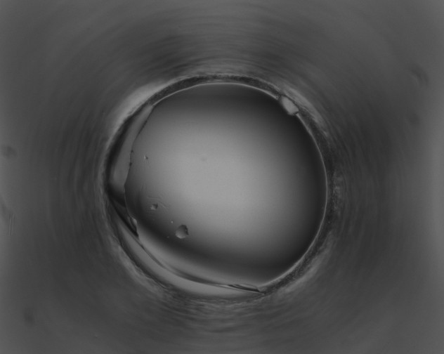 X0000090990981200708021518