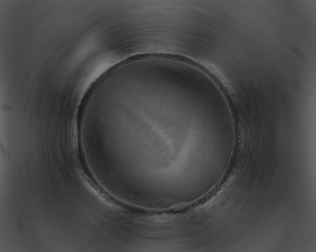 X0000090990982200708021518