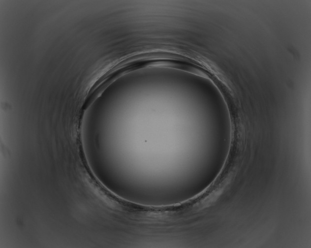 X0000090990985200708021518