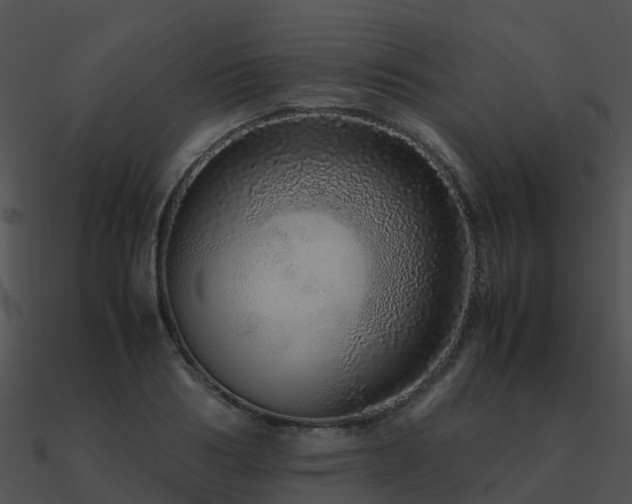 X0000090990986200708021518