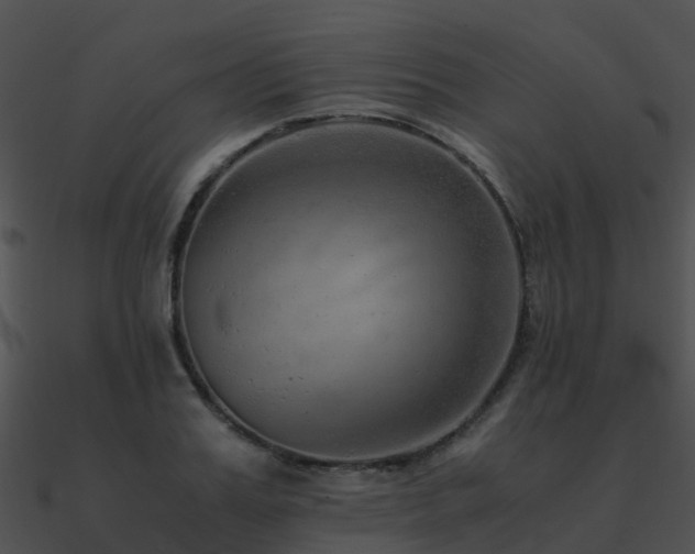 X0000090990987200708021518