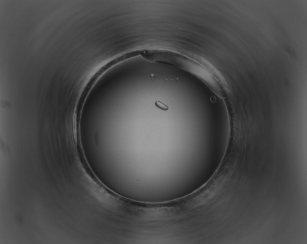 X0000090990988200708021518