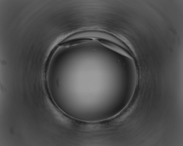 X0000090990989200708021518
