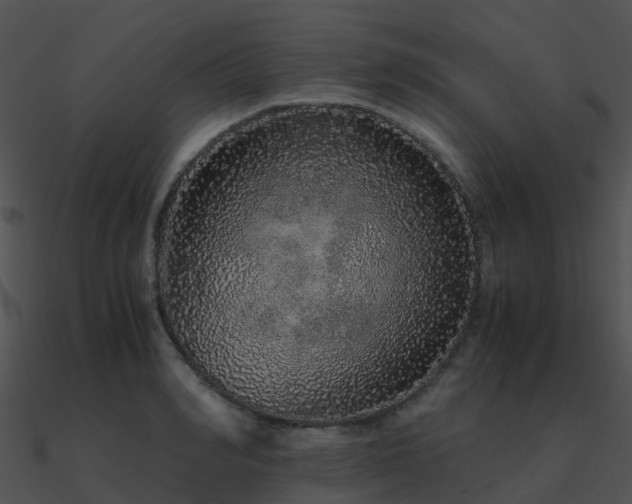 X0000090990990200708021518