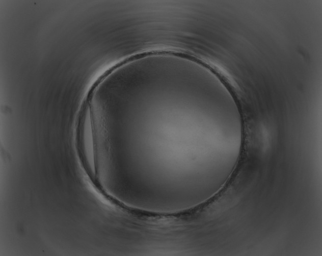 X0000090990991200708021518
