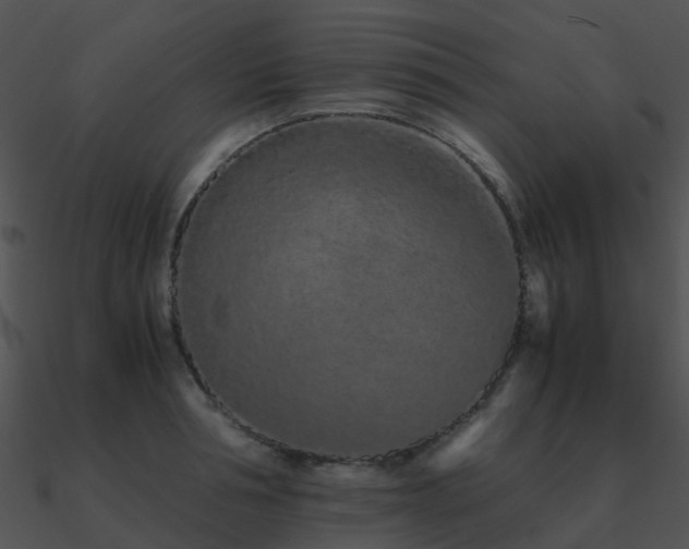 X0000090990994200708021518