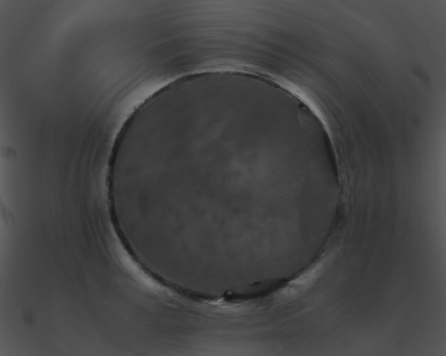 X0000090990995200708021518