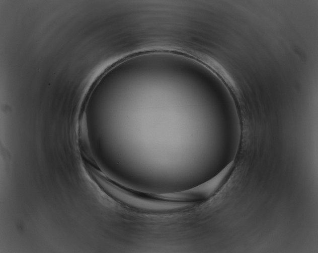 X0000090990996200708021518