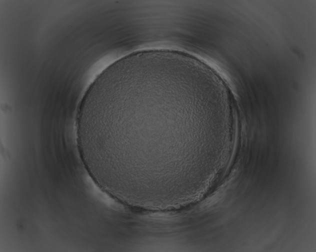 X0000090990998200708021518