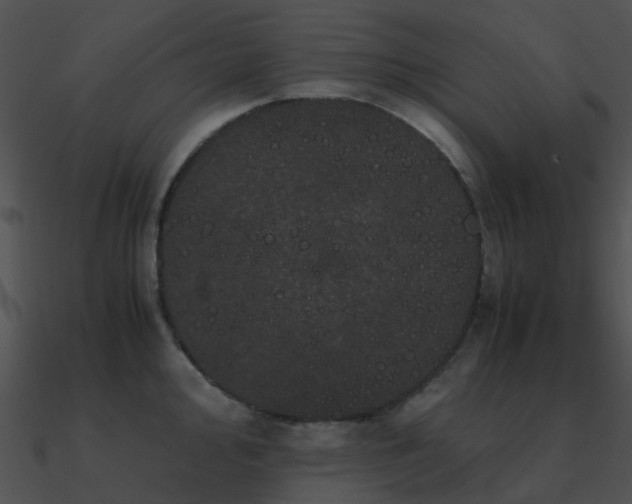 X0000090991000200708021518