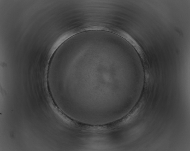 X0000090991002200708021518