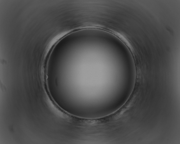X0000090991003200708021518