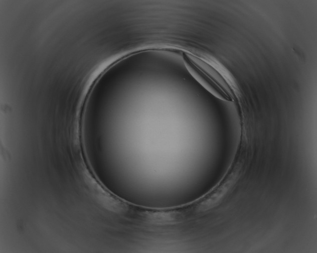 X0000090991004200708021518