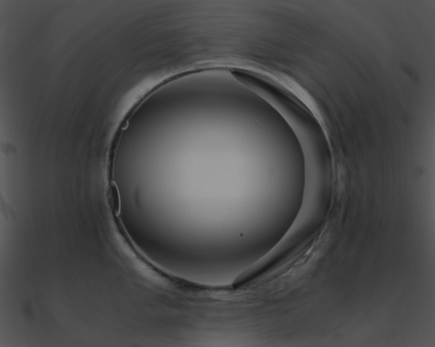 X0000090991005200708021518