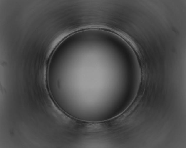 X0000090991006200708021518