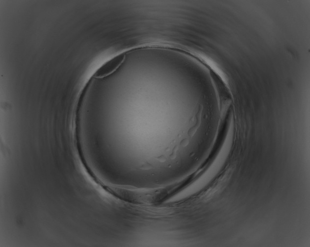 X0000090991007200708021518