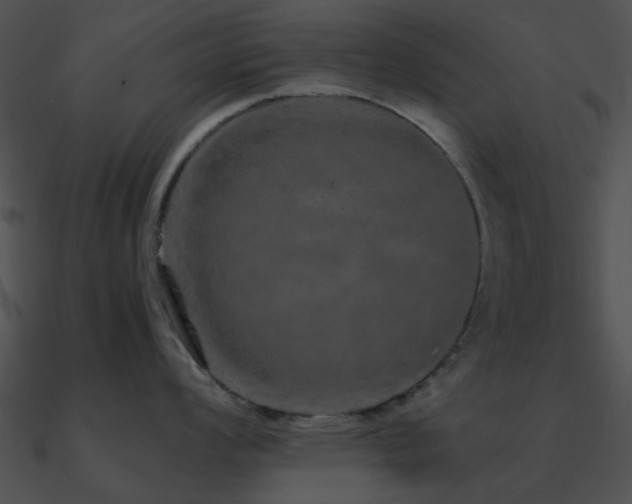 X0000090991008200708021518