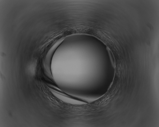 X0000090991010200708021517