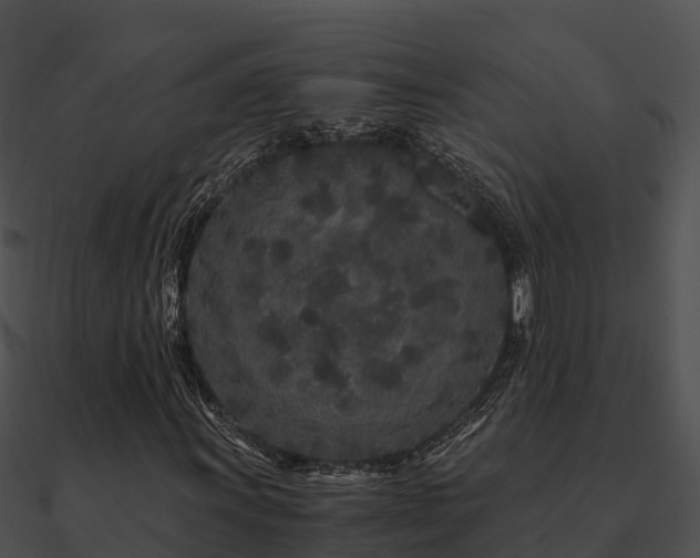 X0000090991011200708021517